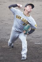 DSC04242.jpg