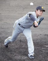 DSC04337.jpg